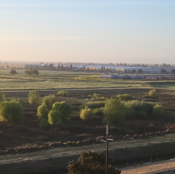 Meet your Posher, Douglas - Picture 2 of 2